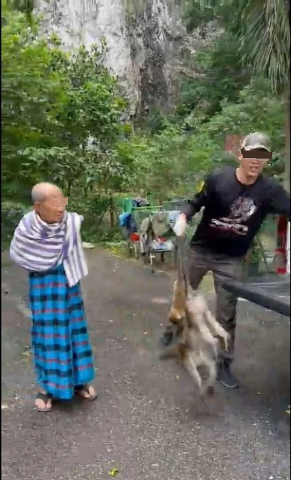 “野生动物局残忍杀猴” 峇都喼居民拍视频谴责官员