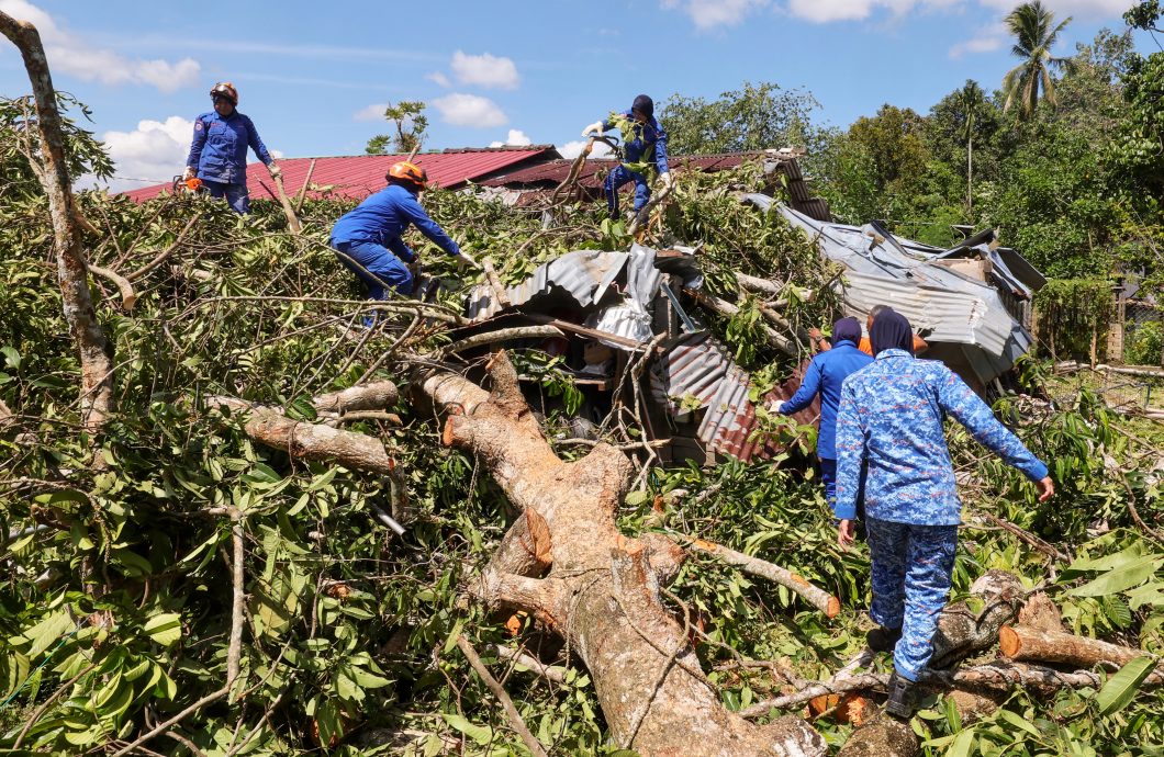 东：巴西富地逾10间住家在暴风雨中，被倒下的大树压毁