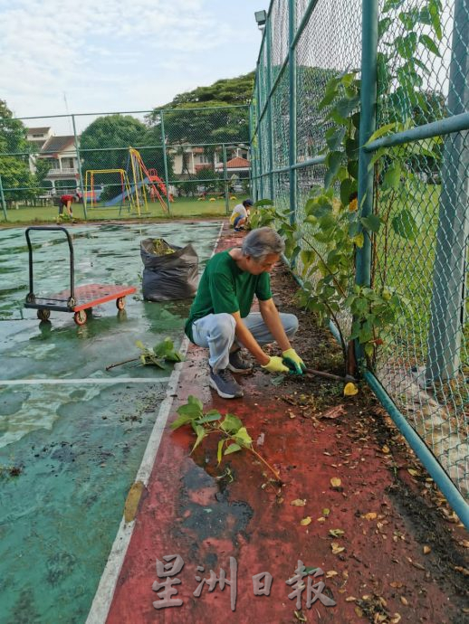哥打拉沙马那第二期花园 清洁运动清垃圾树叶
