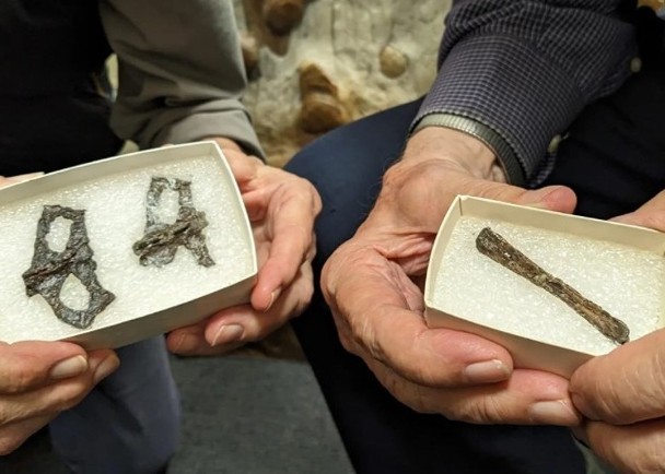 拼盘／史前骨骼化石证属1.07亿年前翼龙　澳洲最古老