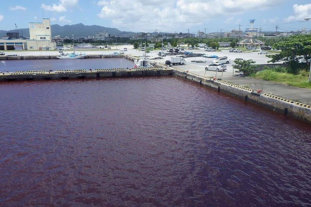 日本Orion啤酒厂泄漏冷却水　冲绳河川染色满江红