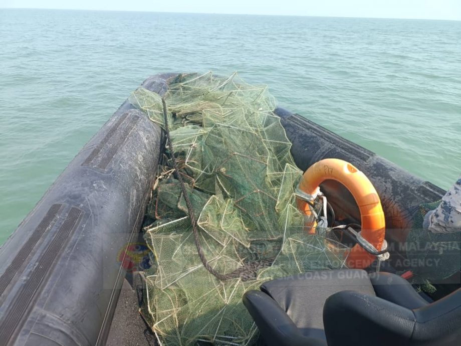 曼绒海域又有非法捕鱼 海事机构起25套蜈蚣网