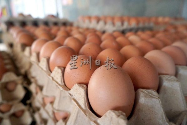 末沙布:政府已没有从印度泰国进口鸡蛋