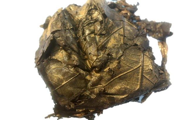 河南考古发现 距今2000多年的粽子