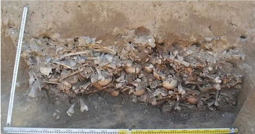 波兰出土450具吸血鬼遗骸　“嘴里塞硬币、两腿夹头骨”防死而复生 