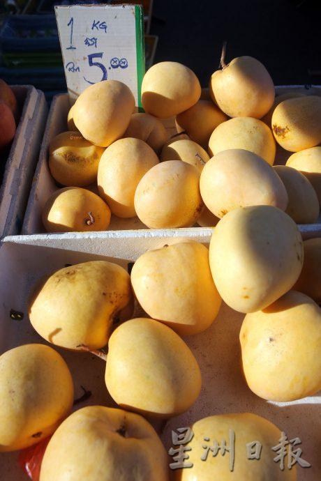 泰国芒果盛产 芒果诱人价格便宜