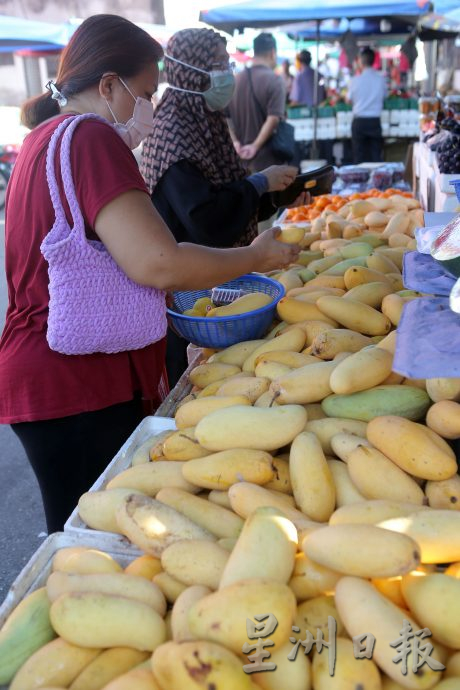 泰国芒果盛产 芒果诱人价格便宜
