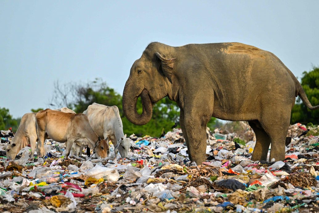 看世界／联合国秘书长在世界环境日呼吁打破对塑料的依赖
