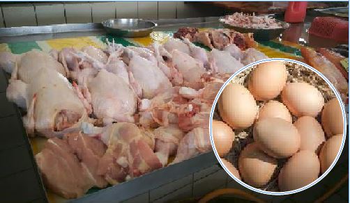 肉鸡鸡蛋补贴630结束 农长:7月1日起价格自由浮动