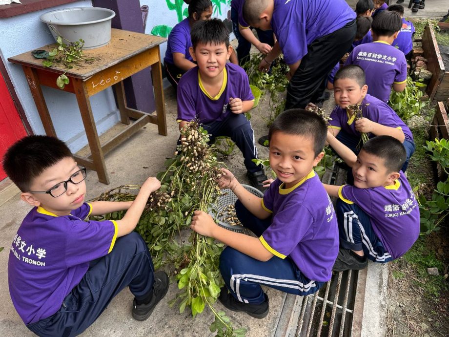 霹：请签网／端洛百利华小花生收成了