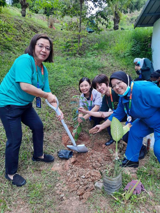 （古城版）爱极乐班台医院植树