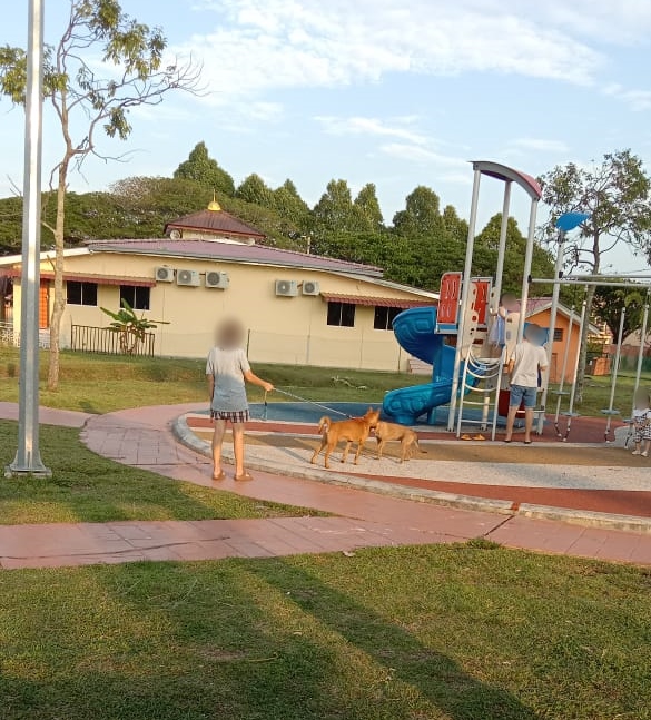 （古城第五版主文）居民投诉有人带狗到公园散步，担心对孩童个人安全与健康构成威胁