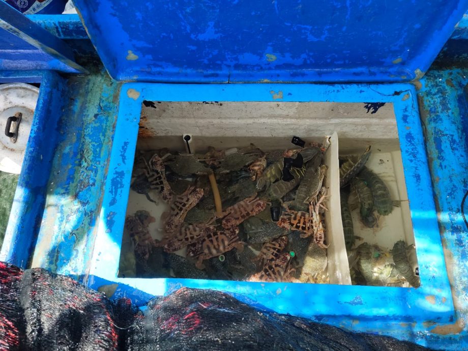 （大北马）本国海域上非法捕鱼，泰国渔船及2船员被扣查！