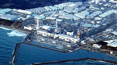 Fallout from Fukushima radioactive wastewater