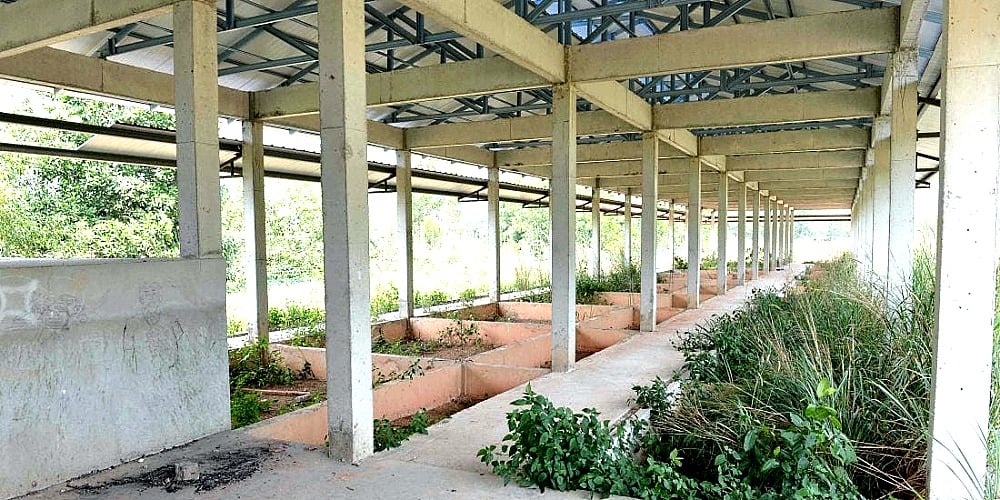 Abandoned pig farming area to be converted to technology park