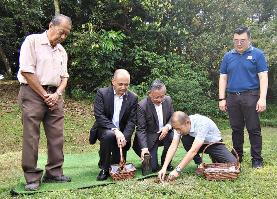 NS芙蓉：周世扬：森墓地一地难求，环保葬将成未来10年新趋势