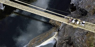Gravity-defying: revamping an Inca rope suspension bridge