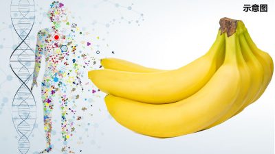 网上声明按功能比较非序列 “人类50%DNA与香蕉相似”错误