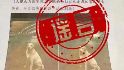 “千万寻狗”乃杜撰  警方：发布者已行拘