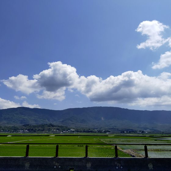 【臺灣】臺東池上巡禮／走進蔣勳的書中場景，與天地對話