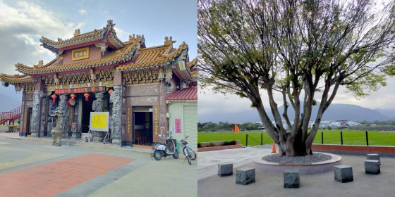 【台湾】台东池上巡礼／走进蒋勋的书中场景，与天地对话