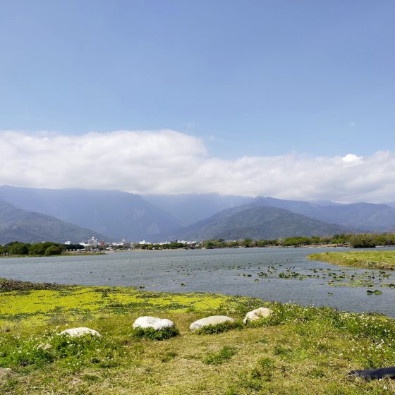 【臺灣】臺東池上巡禮／走進蔣勳的書中場景，與天地對話