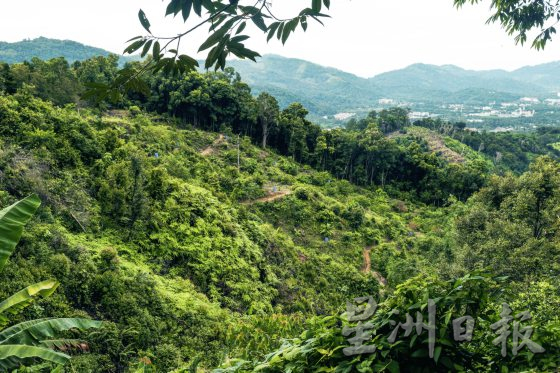 【荳蔻的故事／02】走进浮罗山背，探寻豆蔻的山中岁月