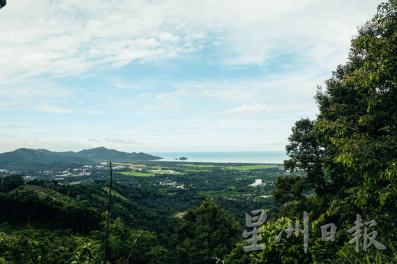 【荳蔻的故事／02】走进浮罗山背，探寻豆蔻的山中岁月