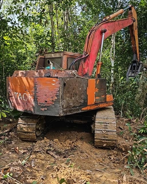 东：彭州执法单位突击检举劳勿政府土地非法开发森林活动。 
