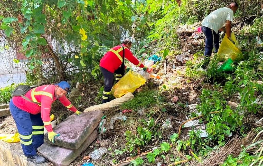 东：文德甲苏比亚花园附近一块地段成了垃圾池，垃圾和杂物丢弃在该处