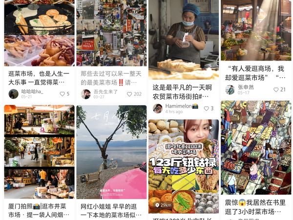  中国青年揪团上菜市场旅行　拒当“买菜小白”体验接地气人间烟火