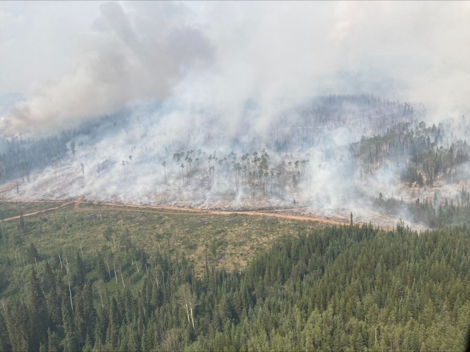 加拿大野火烧毁980万公顷林地　首传死讯！19岁女消防员殉职