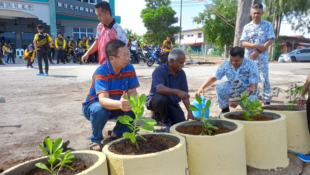 海军基地曼绒市议会下乡新甘光 美化植树绿化大扫除
