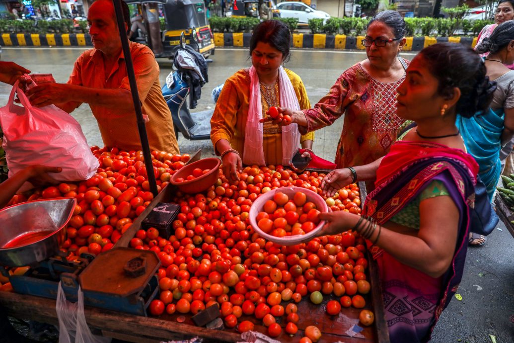 看世界／印度爆发番茄之乱　农民看守收成遇害　民众偷煮番茄导致妻离子散