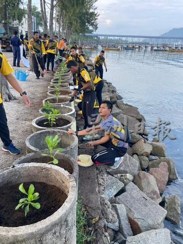 补照片／已签／海军基地曼绒市议会下乡新甘光 美化植树绿化大扫除