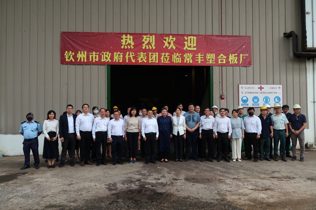 钦州市政府代表团 参观常丰塑合板厂