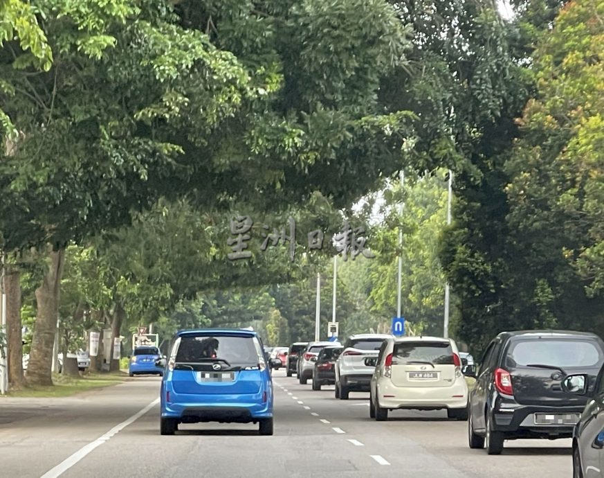 大树枝桠横跨路面成隧道·AMJ大道如弃婴