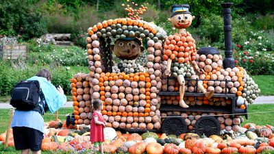 Pumpkin exhibition