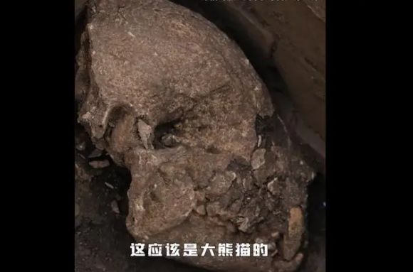 “汉文帝霸陵”极罕见陪葬品出土　“大熊猫”封存2000年见天日