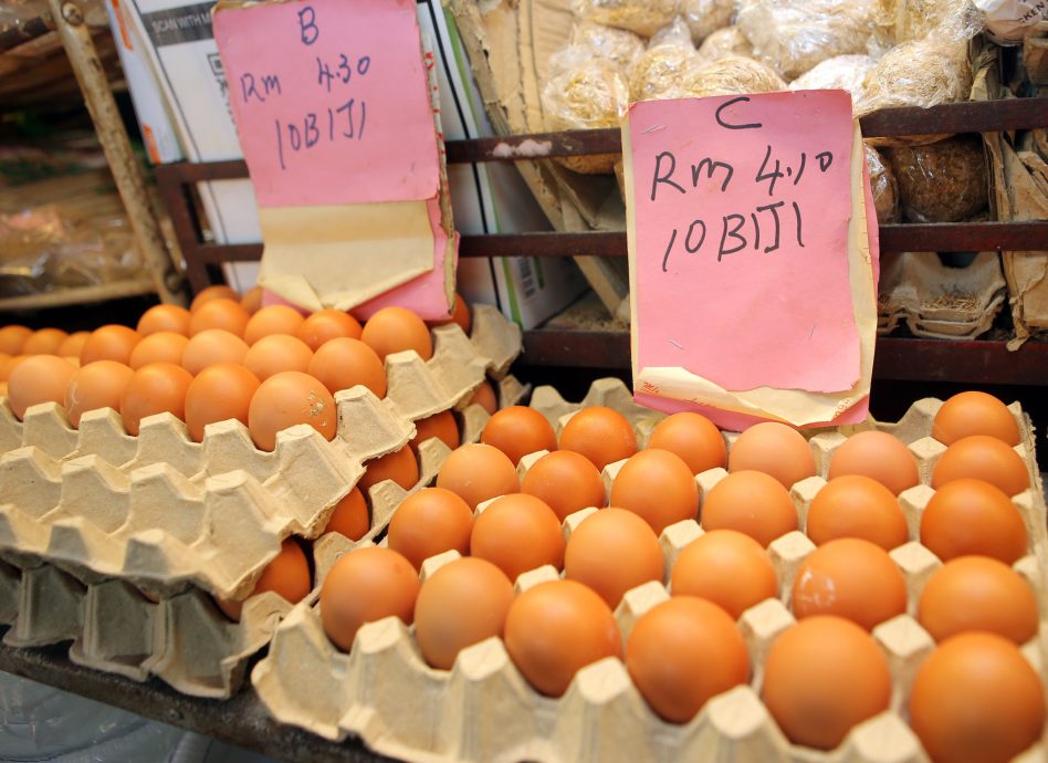 咸鸭蛋 生鸭蛋  产量多降价15至20%