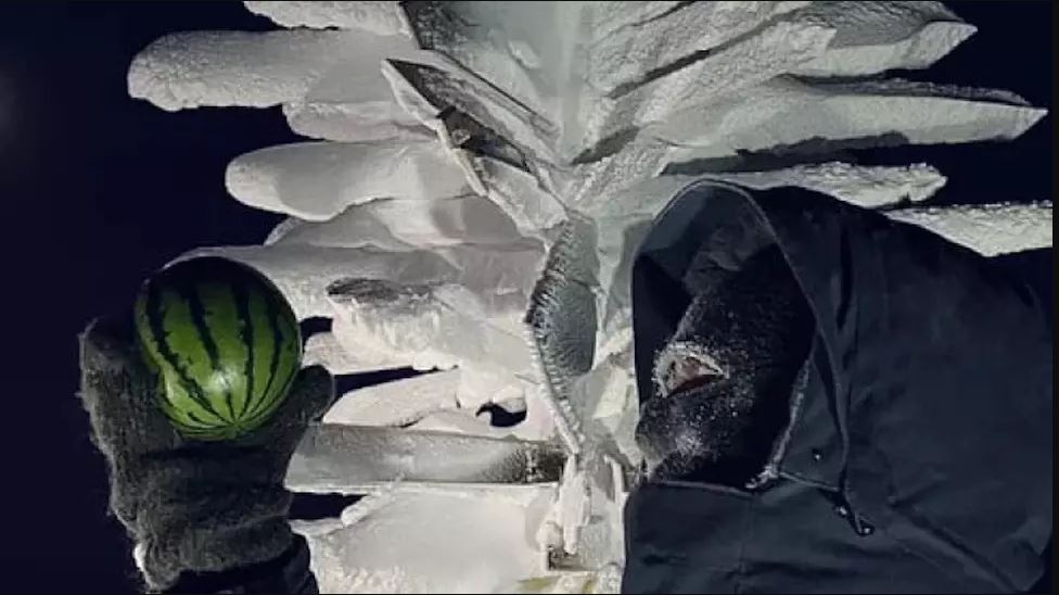 拼盘／零下89.2度！科学家成功在南极种出8颗西瓜