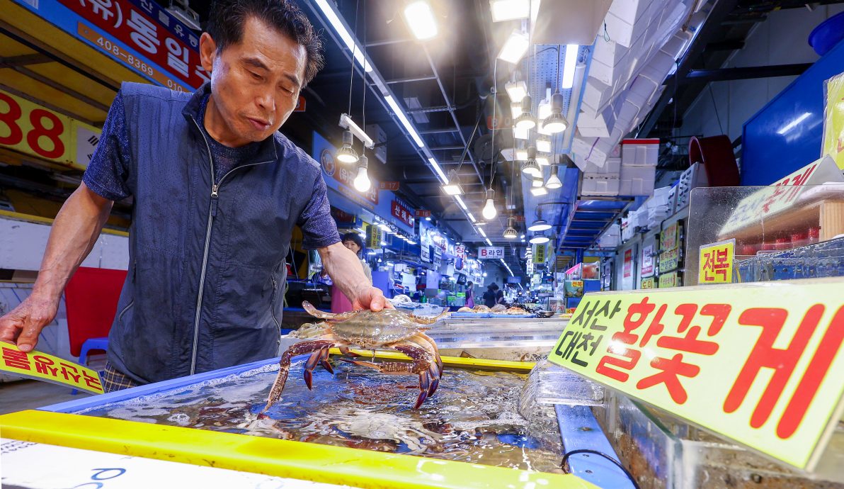 日本核废水排海引忧虑 韩国总统府带头吃海鲜