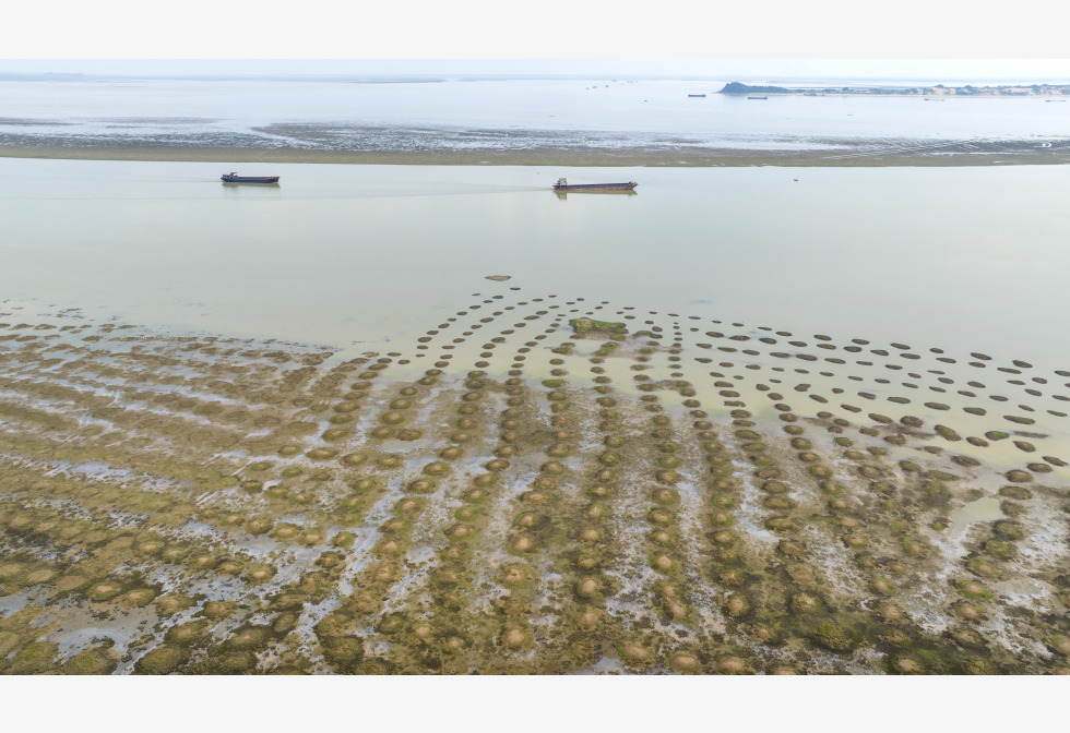 江西江河湖库水位偏低　鄱阳湖有纪录以来最早退至枯水位