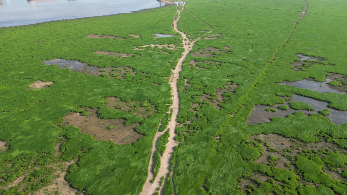 江西鄱阳湖水位在枯水线徘徊 “千年石岛”落星墩再露全貌