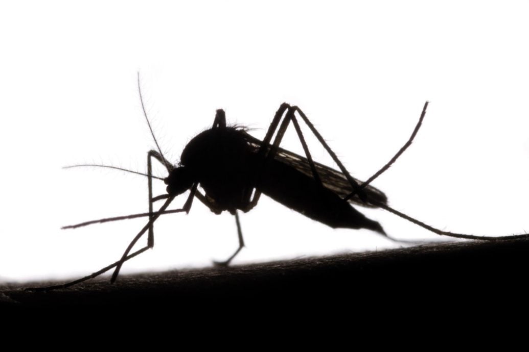 科学家发现抑制疟疾传播“新武器”