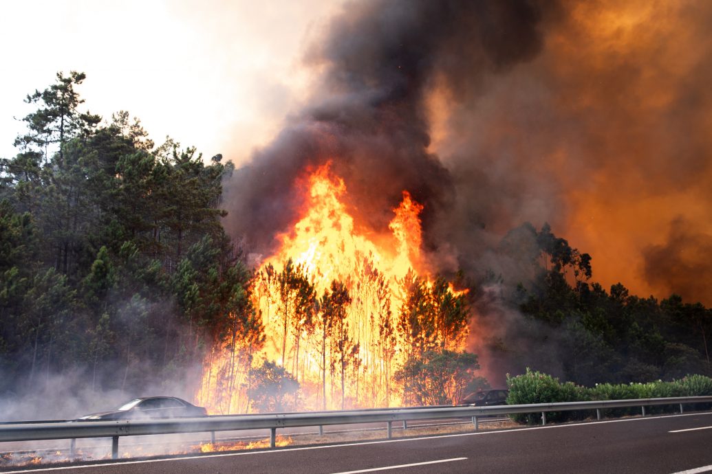 葡萄牙南部野火迫使约1400人预防性疏散