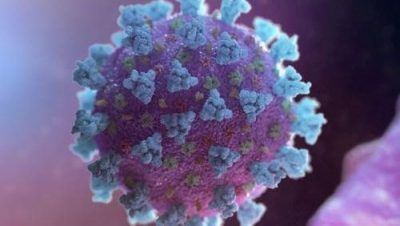 可能引發冠病新病毒譜系 世衛 美CDC 密切監測BA.2.86毒株