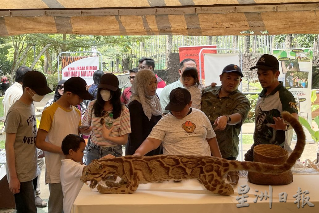 （古城封面主文）莱斯雅欣：甲计划打造野生动物园