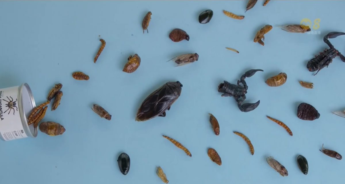 （已签发）柔：狮城二三事：狮城食品局将批准昆虫可食用  餐饮业者部署将昆虫入菜