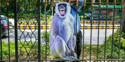 India deploys ‘monkey-men’ to scare away primates from G20 summit
